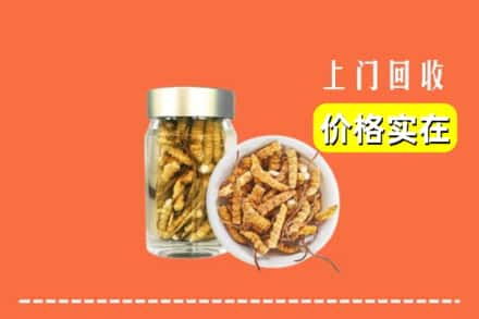 吕梁兴县回收散虫草