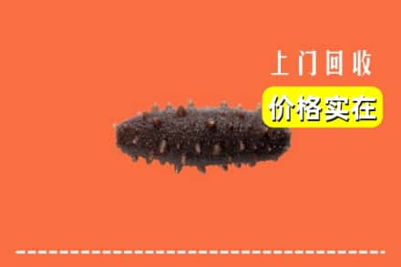 吕梁兴县回收海参
