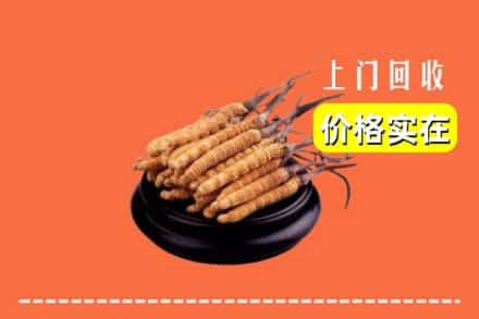 吕梁兴县回收冬虫夏草